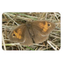 Recherche de papillon blanc magnets Beau