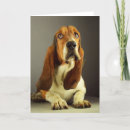 Search for basset hound cards Dog