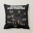 Search for mini pillows Dog