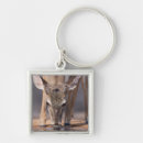 Search for deer stand keychains Standing