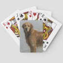 Search for bob and pam langrish Flat coated golden