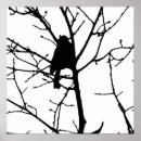 Search for bird on branch silhouette posters Branches