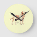 Search for labrador retriever clocks Puppies