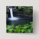 Search for lush buttons Tropical