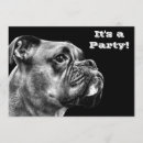Recherche de de boxeur invitations Chien