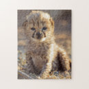 Search for baby cheetah puzzles Acinonyx jubatus