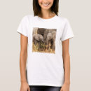 Search for wildlife conservation clothing Elephant