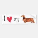 Search for weiner dog bumper stickers Dachsie