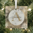 Search for sparkles ornaments Silver glitter