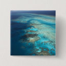 Search for reefs buttons Tropical