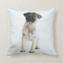 Recherche de carlin de enfant coussins Chiot