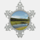 Search for swan lake ornaments Nature