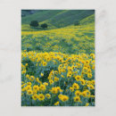 Search for colorful leaves postcards Leaf