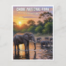 Recherche de chobe cartes postales Nature
