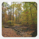 Search for fall creek falls stickers Autumn