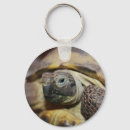 Search for tortoise shell keychains Cute