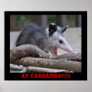 Recherche de opossum posters Mignon