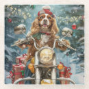 Recherche de cocker spaniel dessous de verres Animal