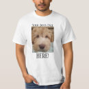 Recherche de labradoodle vêtements Chiens