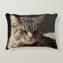Search for tabby cat pillows Meow