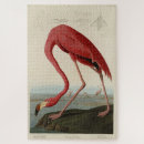 Recherche de flamingo puzzles Illustration