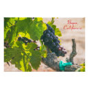 Recherche de fruit de la vigne posters Cave