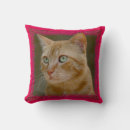 Search for ginger cat pillows Cats