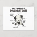 Recherche de chien dalmatien cartes postales Chiot
