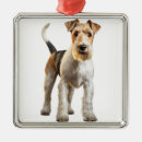 Search for wire fox terrier ornaments Dog