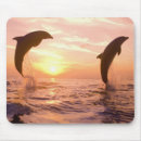 Recherche de mer des caraïbes tapis souris Pittoresque