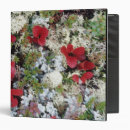 Search for arctic binders Colour