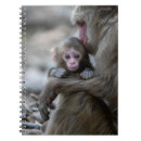 Recherche de singe de bébé carnets Animal