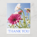 Search for white gerbera daisy Thank you
