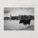 Search for vintage black and white postcards Nature