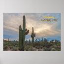 Search for saguaro posters Cactus