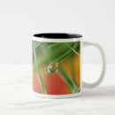 Search for pine needles mugs Autumn