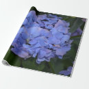 Recherche de hortensia papier cadeau Plante