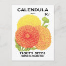 Search for flower seeds postcards Retro