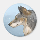 Search for timber wolf magnets Winter