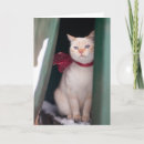 Search for siamese cat christmas cards Winter
