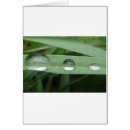 Search for drop of water Waterdrop