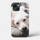 Search for cute boyfriend iphone cases Funny