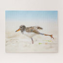 Search for long island puzzles Bird