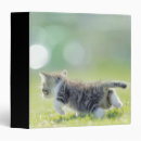 Search for domesticated binders Outdoors