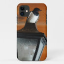 Search for swallow iphone cases Bird
