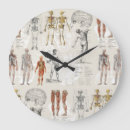 Recherche de anatomique horloges Anatomie