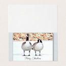 Search for geese christmas cards Nature
