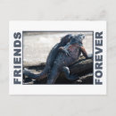 Recherche de forever cartes postales Amour