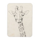 Recherche de portrait magnets Safari