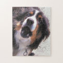 Recherche de colley puzzles Collie bore